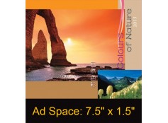 Desk Calendar DC36